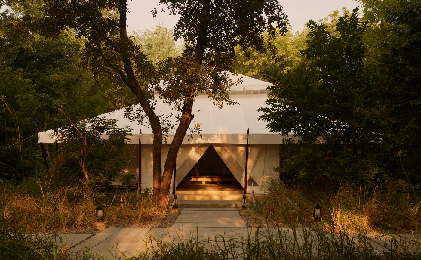 Cream canvas tent at Aman-i-Kh&aacute;s lit at dusk among trees and golden grasses, Ranthambore, Rajasthan