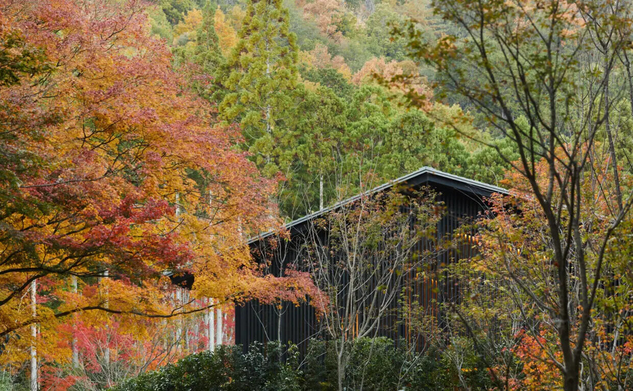 Aman Kyoto's timber pavilion among autumn maples in the Takagamine forest