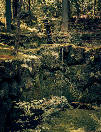 Hinoki. Silence. Tokyo.