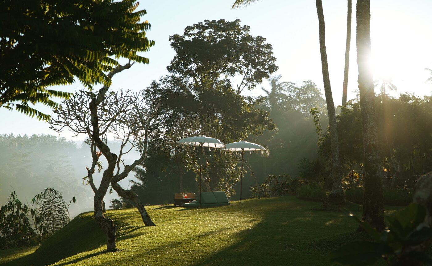Morning light on the Ubud Valley trails below Amandari, tropical vegetation and misty hills beyond, courtesy of Aman