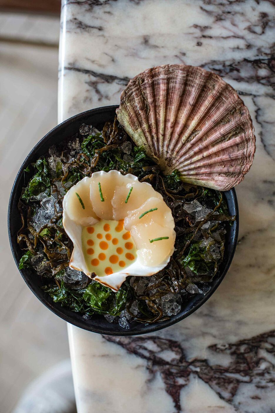 A scallop course at Amura, thin slices of scallop set on the shell over crushed ice and seaweed on a marble counter