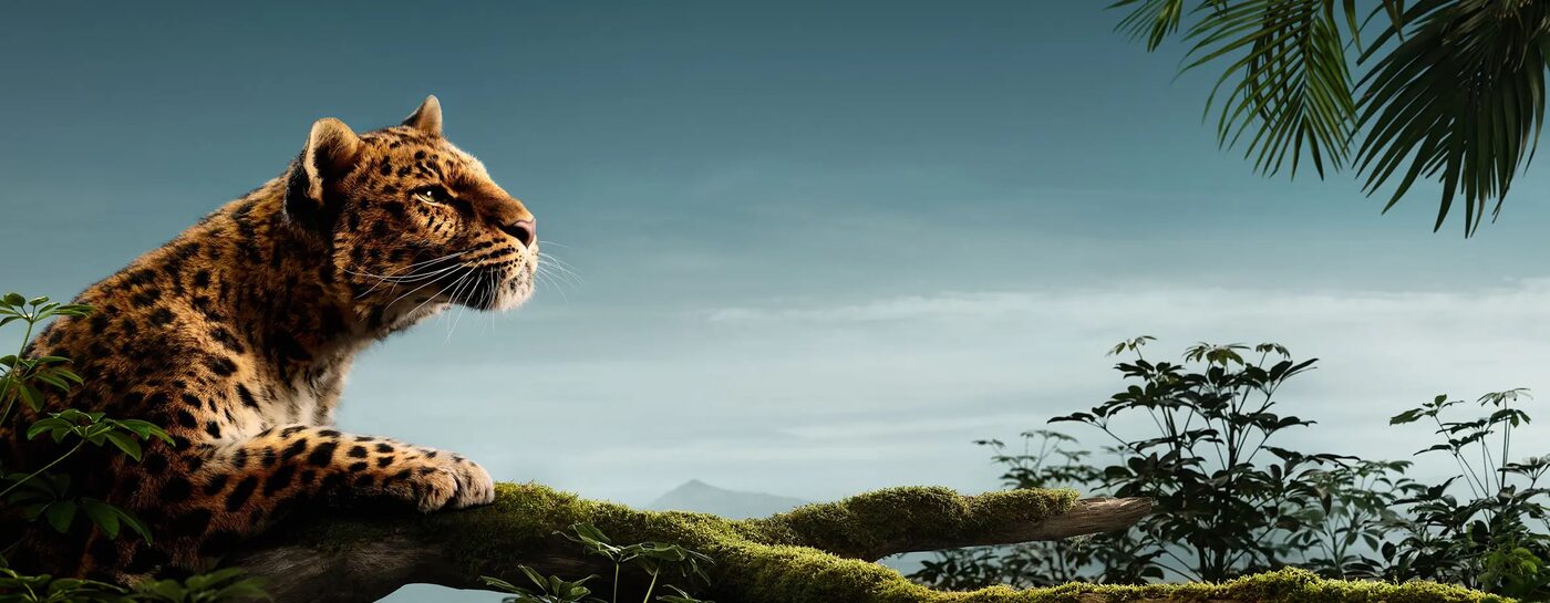 Cartier high jewellery, courtesy of Cartier
