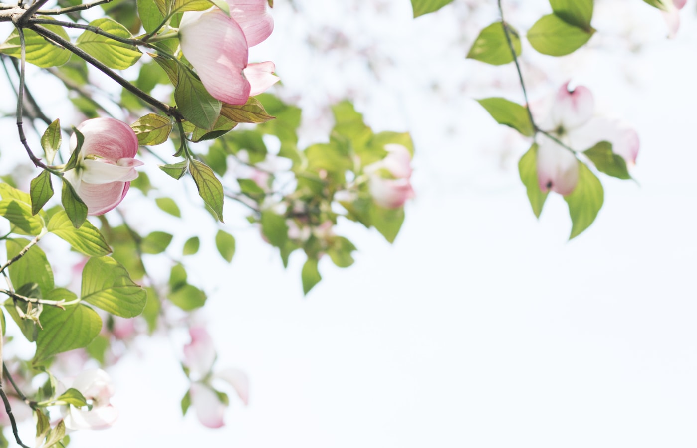 Terrace at the Lake Como Edition overlooking the water