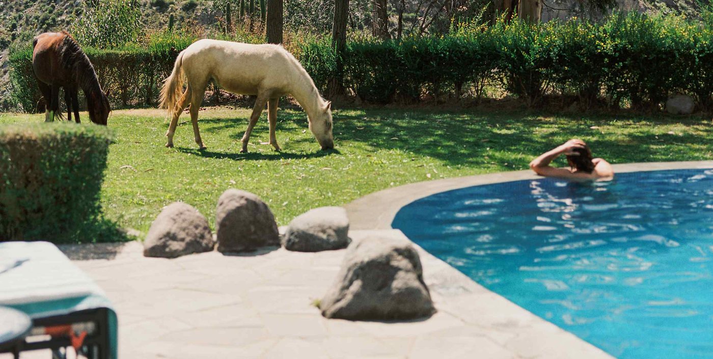 The outdoor pool at Las Casitas, A Belmond Hotel, with horses grazing on the lawn above the Colca Canyon