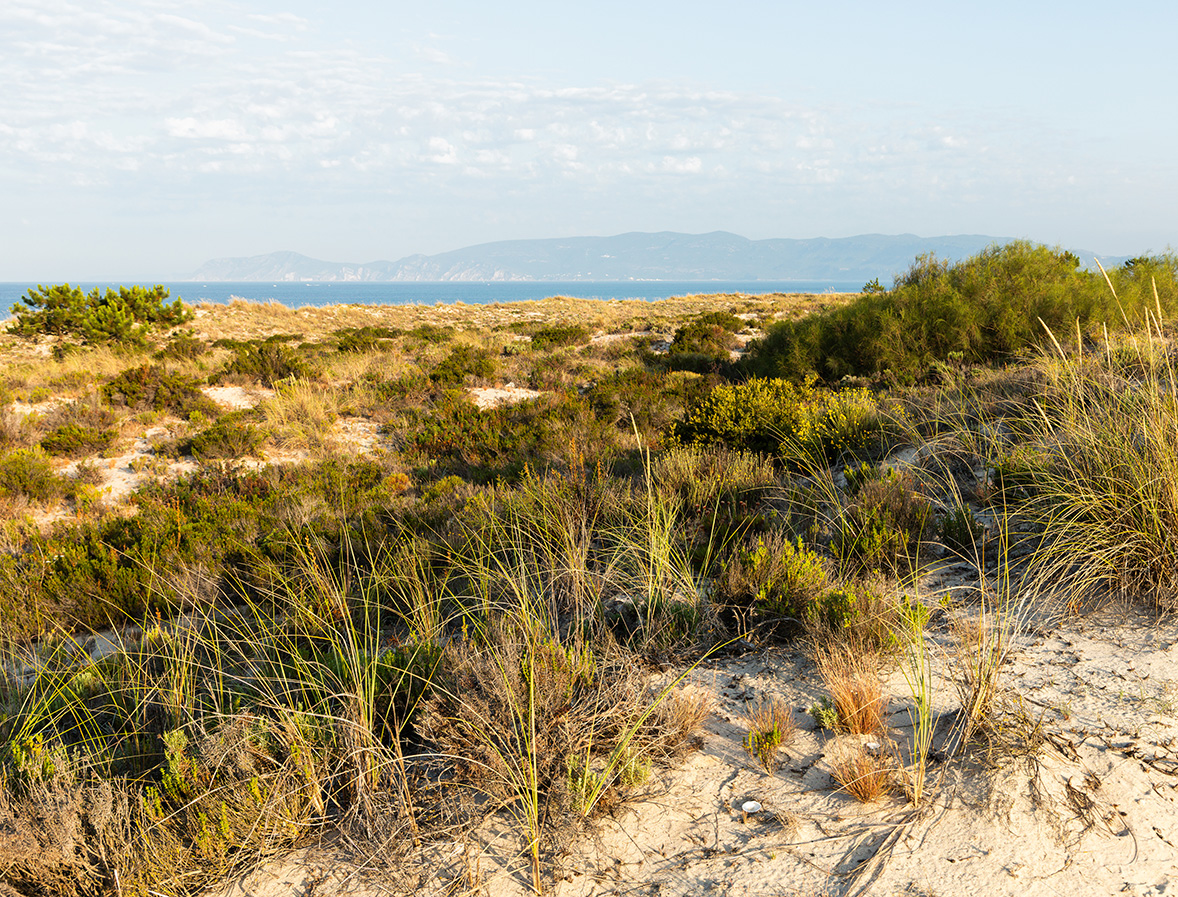 Na Praia opens on the Comporta peninsula